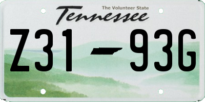 TN license plate Z3193G