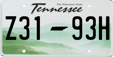TN license plate Z3193H