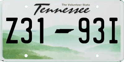 TN license plate Z3193I
