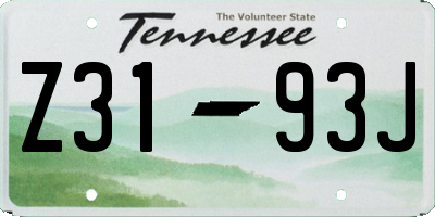TN license plate Z3193J