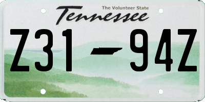 TN license plate Z3194Z