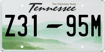 TN license plate Z3195M