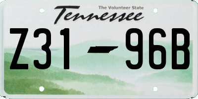 TN license plate Z3196B