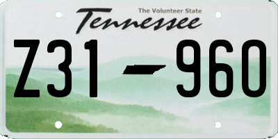 TN license plate Z3196O