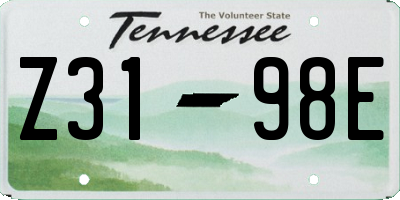 TN license plate Z3198E