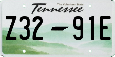 TN license plate Z3291E