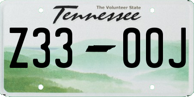 TN license plate Z3300J