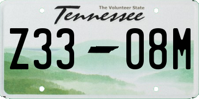 TN license plate Z3308M