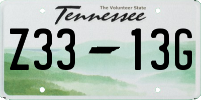 TN license plate Z3313G