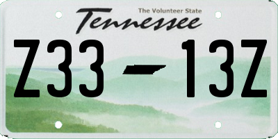 TN license plate Z3313Z