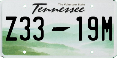 TN license plate Z3319M