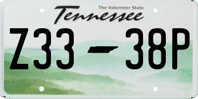 TN license plate Z3338P