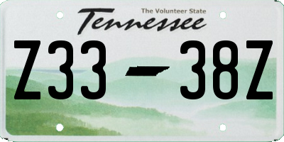 TN license plate Z3338Z