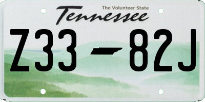 TN license plate Z3382J