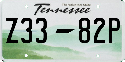 TN license plate Z3382P