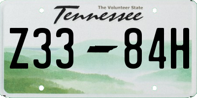 TN license plate Z3384H