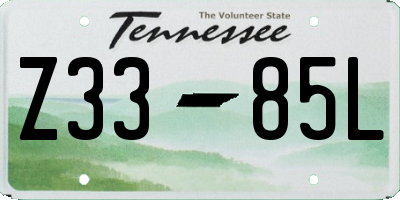 TN license plate Z3385L