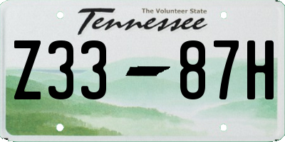 TN license plate Z3387H