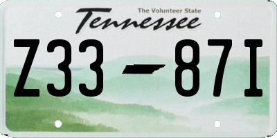 TN license plate Z3387I