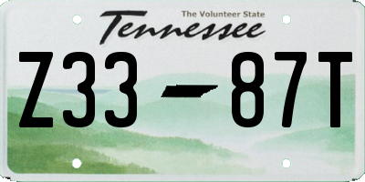 TN license plate Z3387T