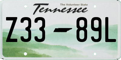 TN license plate Z3389L