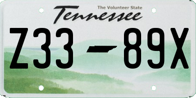 TN license plate Z3389X