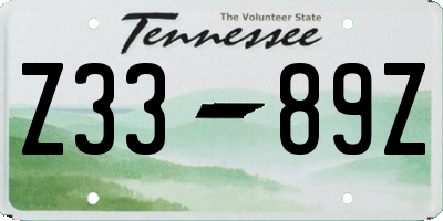 TN license plate Z3389Z