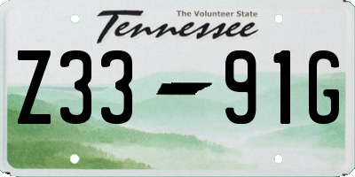 TN license plate Z3391G