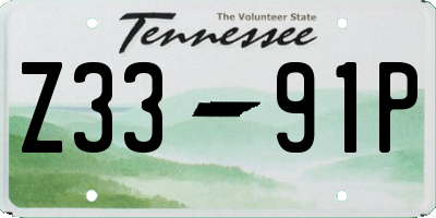 TN license plate Z3391P