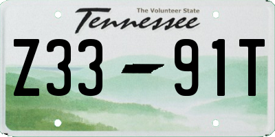 TN license plate Z3391T