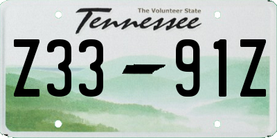 TN license plate Z3391Z