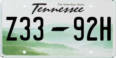 TN license plate Z3392H