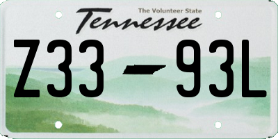 TN license plate Z3393L