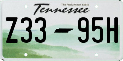 TN license plate Z3395H