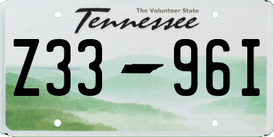 TN license plate Z3396I
