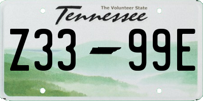 TN license plate Z3399E