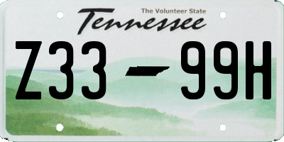 TN license plate Z3399H