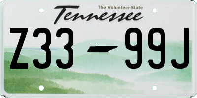 TN license plate Z3399J