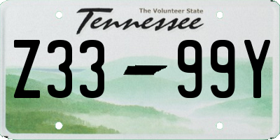 TN license plate Z3399Y