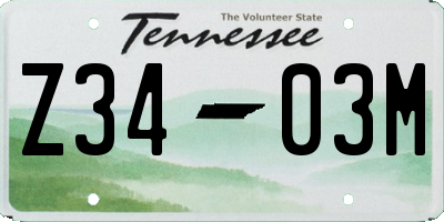 TN license plate Z3403M