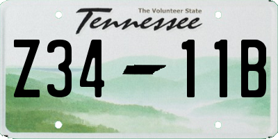 TN license plate Z3411B