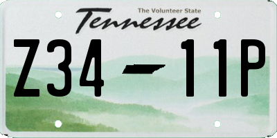TN license plate Z3411P