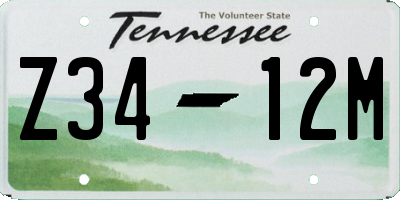 TN license plate Z3412M