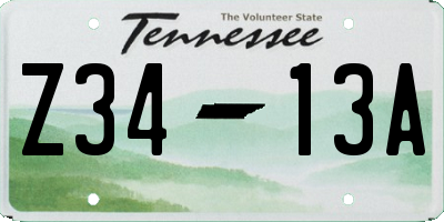 TN license plate Z3413A