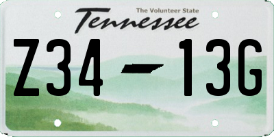 TN license plate Z3413G