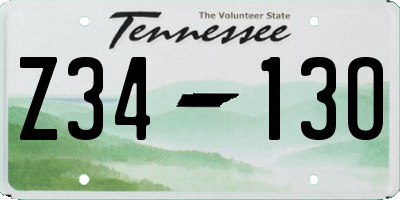 TN license plate Z3413O
