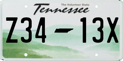 TN license plate Z3413X