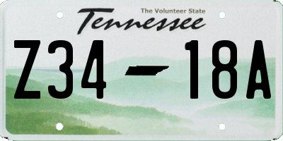 TN license plate Z3418A