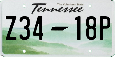 TN license plate Z3418P