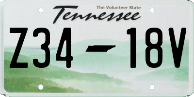 TN license plate Z3418V